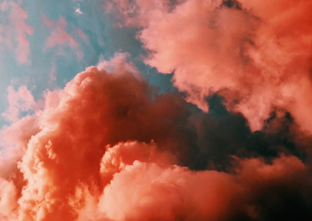 De l’homo sapiens à l’homo&nbsp;cyborg