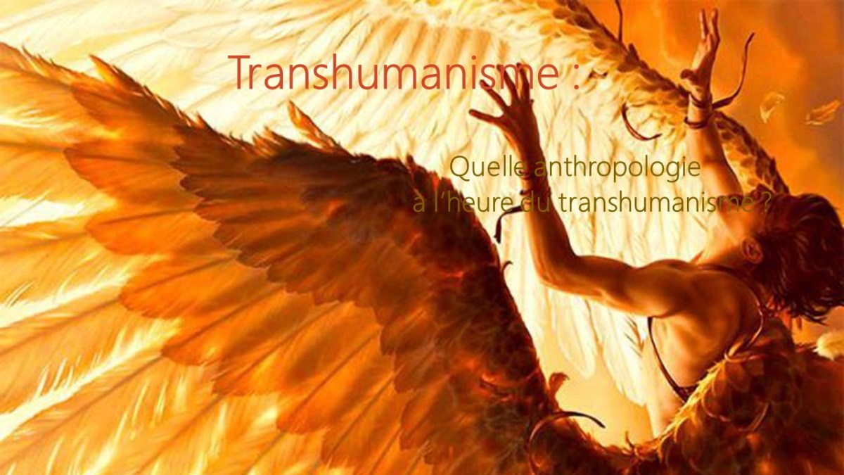 Transhumanisme : Quelle anthropologie à l’heure du transhumanisme&nbsp;?