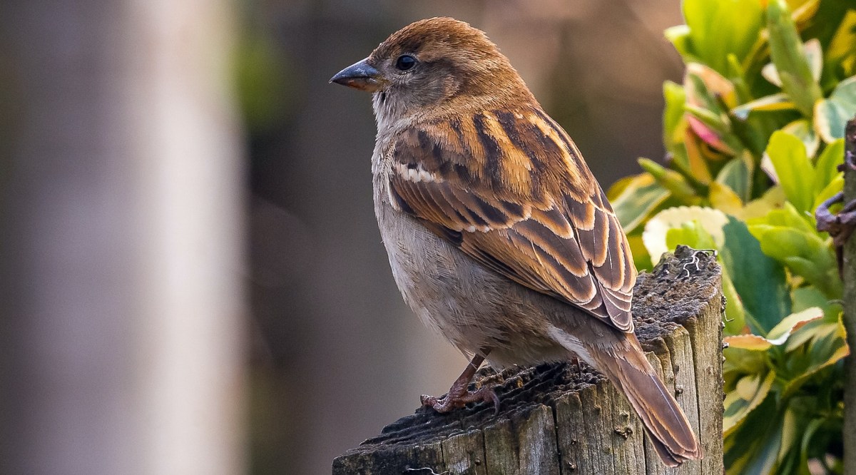 Repenser le monde après le&nbsp;coronavirus