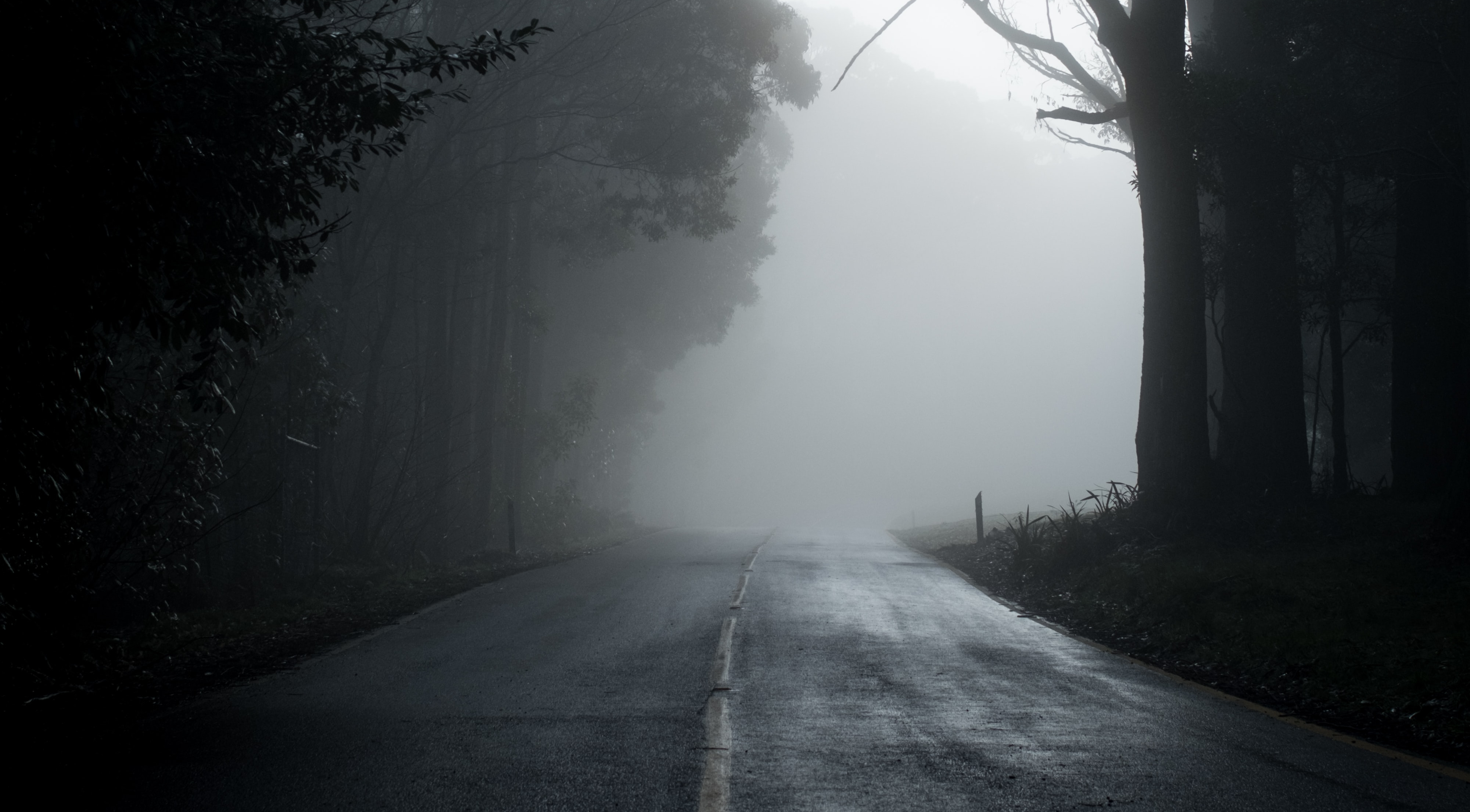 michael-mouritz-WXX_DhjlmD4-unsplash