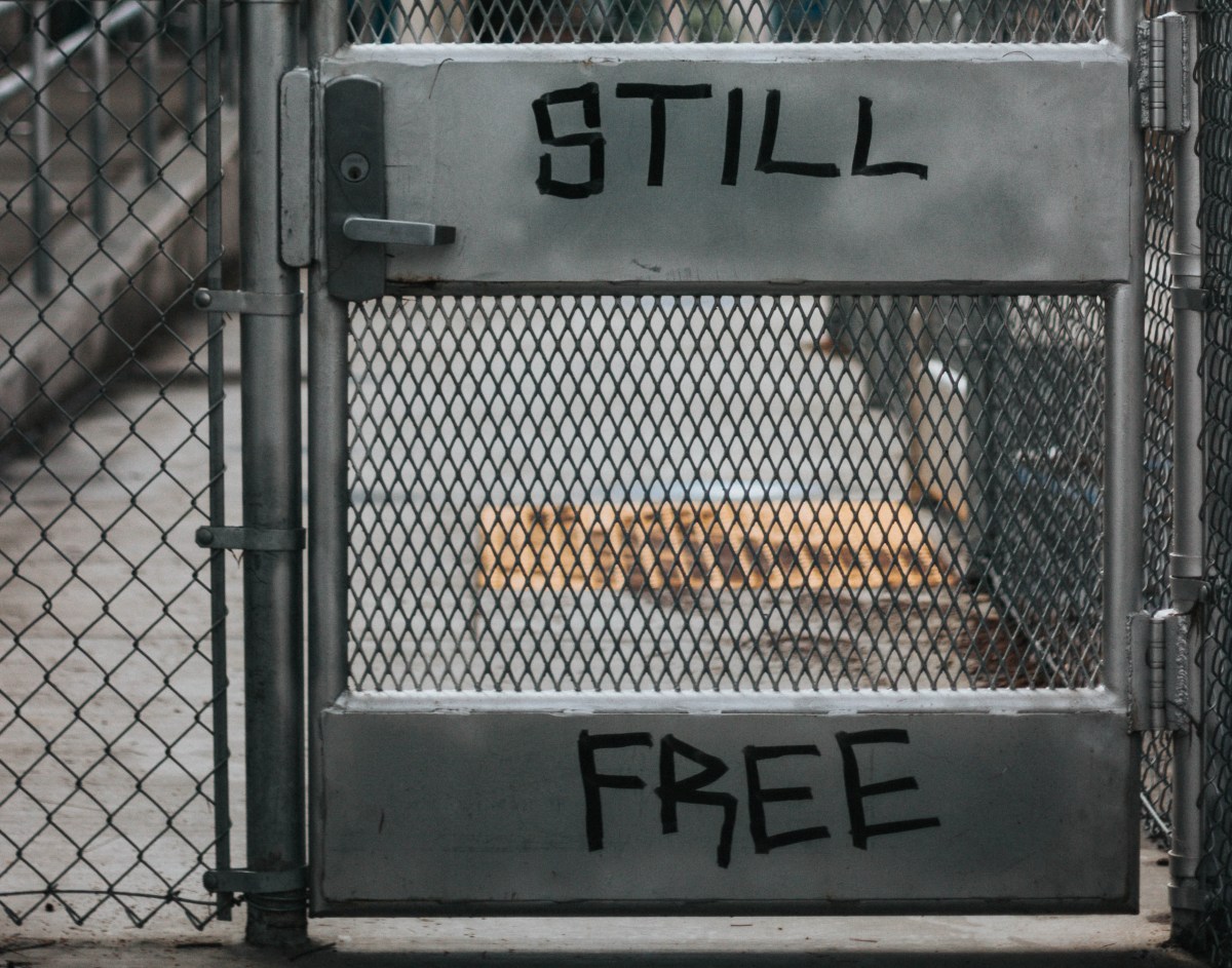 L&rsquo;étrange tyrannie